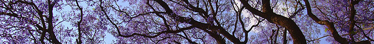 Network_03
