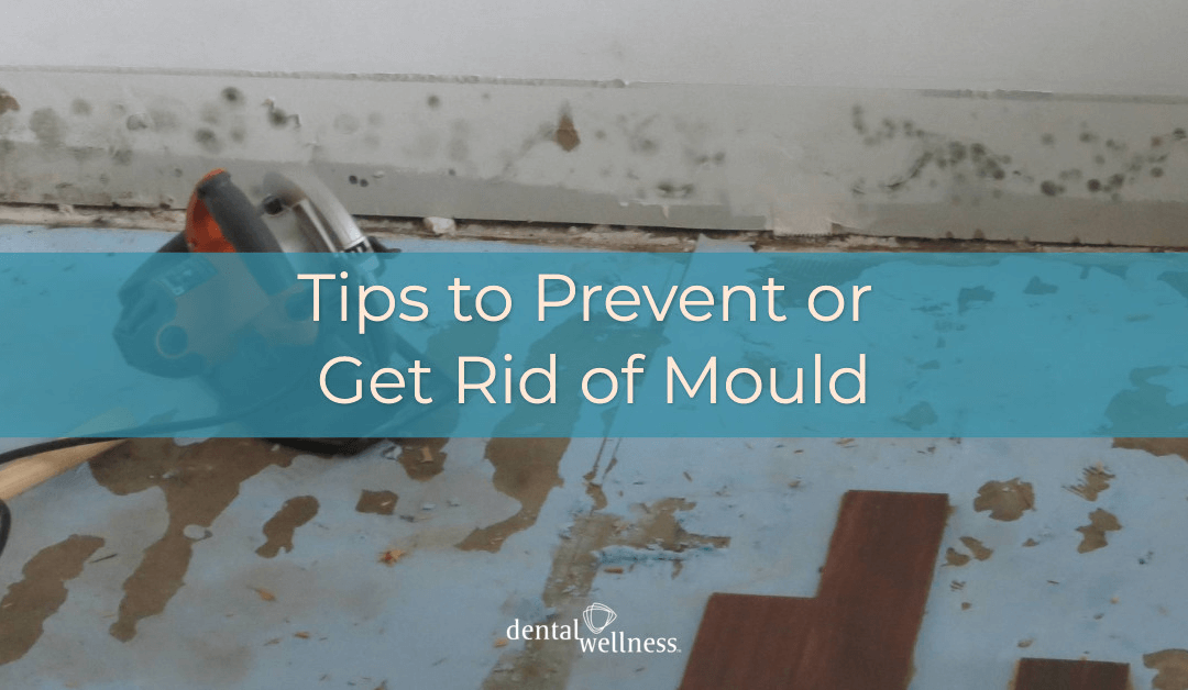 Tips to Prevent or Get Rid of Mould